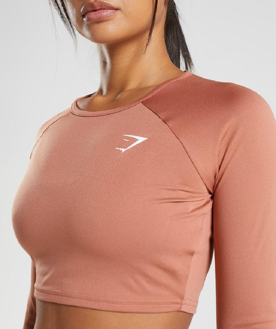 Przycięte Topy Damskie Gymshark Treningowe Long Sleeve Brązowe | PL 2622AHK